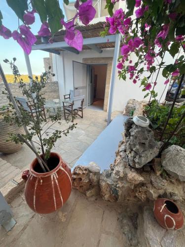 Kithira Apartment | Case De Drymona 2
