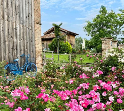 Santa Giustina House | Casetta dipinta Fattoria dei fiori