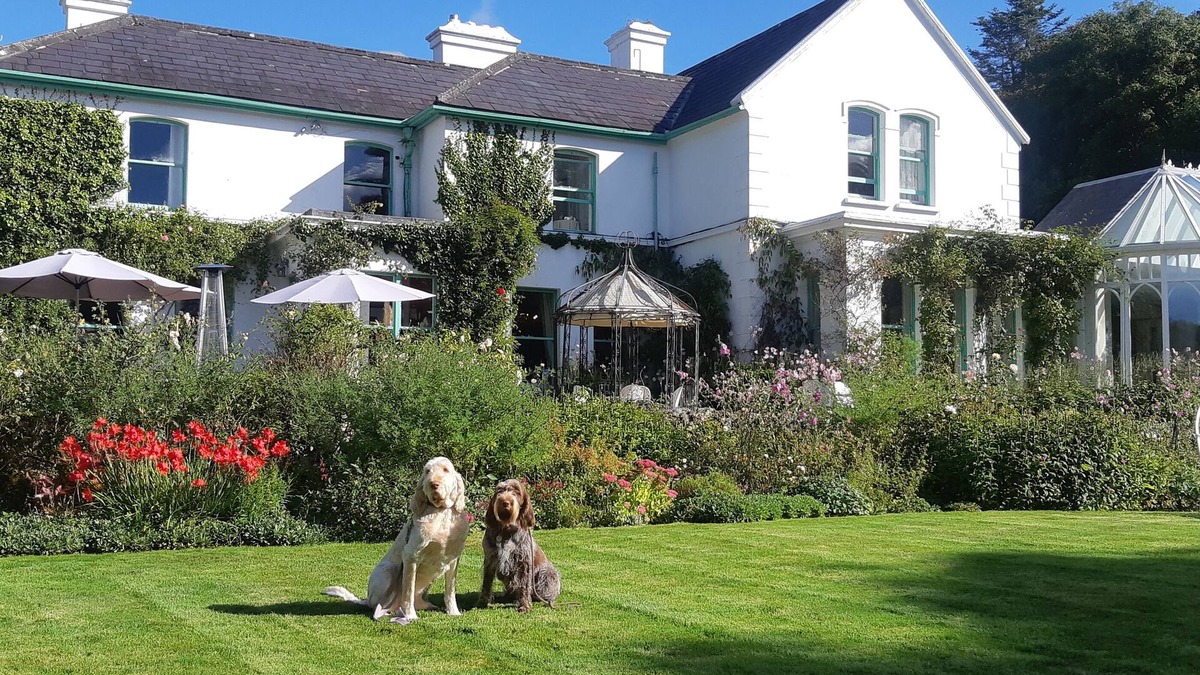 Cashel Hotel | Cashel House Hotel