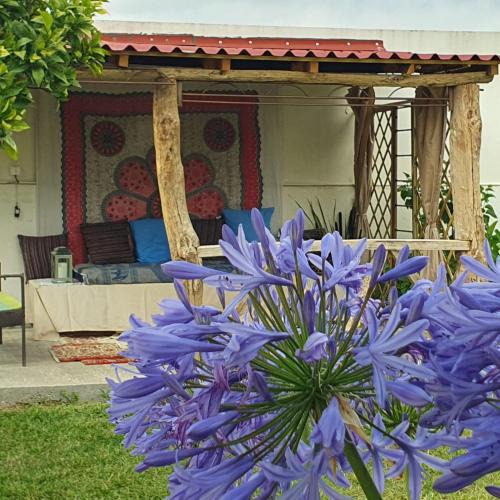 Famalicao Bed & Breakfast | Casinha d'Alice et Serge