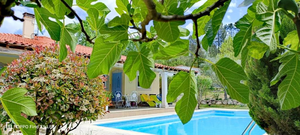 Sernancelhe House | Casinha Siberiana, Casa de Hospedes