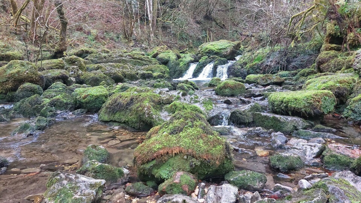 Obaya House | Casita con Jardín y Barbacoa! Vistas al mar y Montañas, Cerca de Playas y Rutas