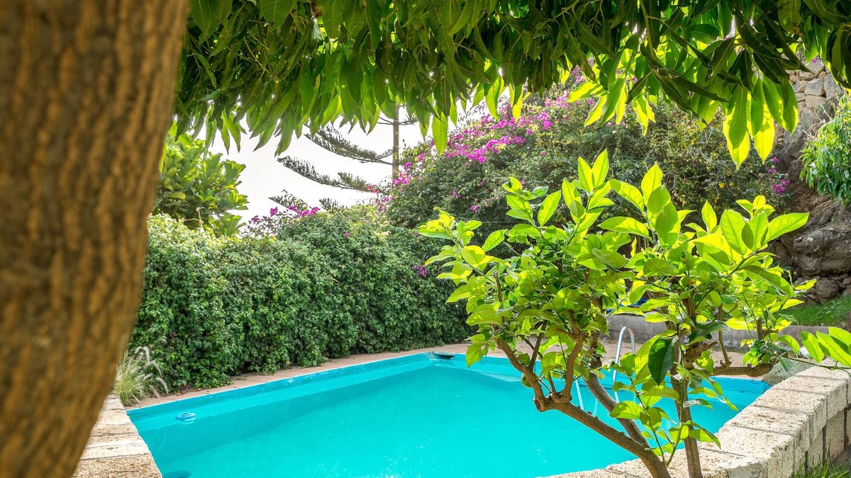 Las Cuevecitas House | Casita El Mango de Malpais