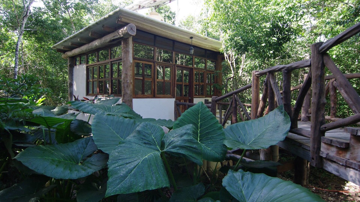 Tulum Cottage | Casita Milagros - A Jungle Tree House