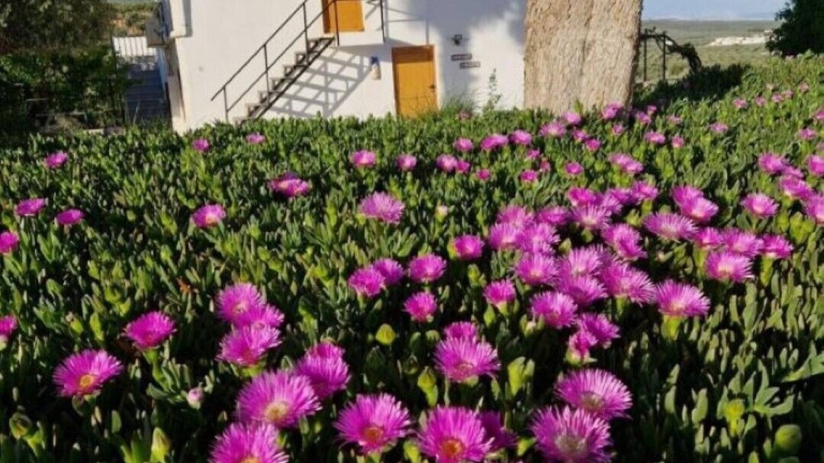 Illora House | Casita of Casa Olivar
