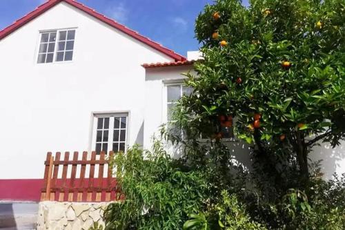 Ferreira do Zezere House | Caso do Canto - Terra