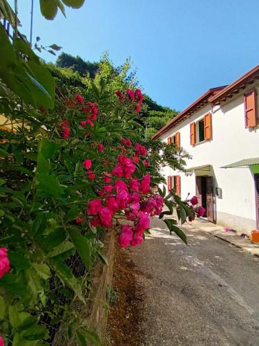 Fabbriche di Vergemoli House | CASOLARE TROMBACCO