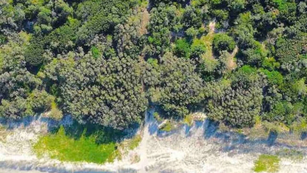 Castaways Beach House | Castaways Beach House Noosa.Beachfront Pool Tennis