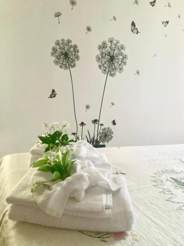 Castello d'Aviano Apartment | Castelletto