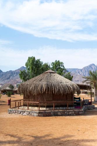 Nuweiba Cabin | Castle Beach