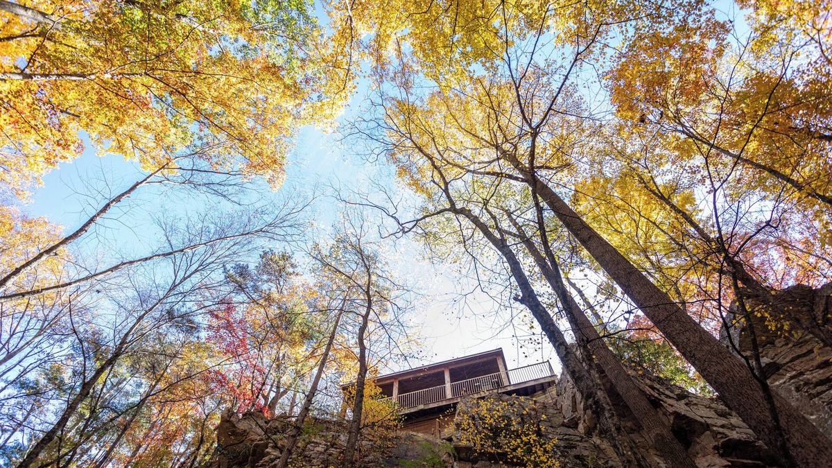 Rawley Springs Cottage | Castle Cliff Riverfront Cottage Peaceful Private Less than15 min to Harrisonburg