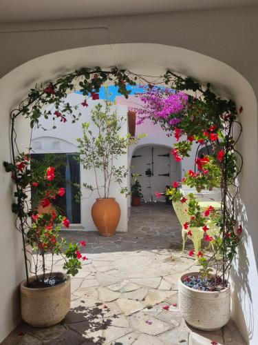 Sines House | Castle House and Beach