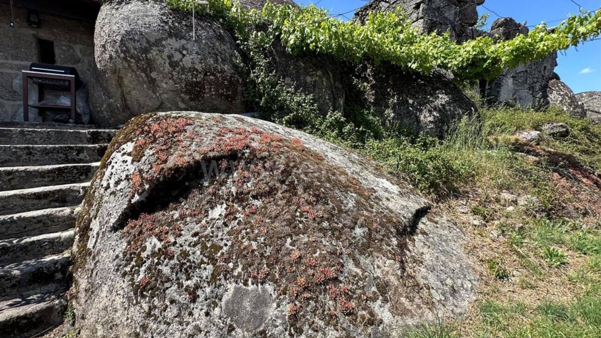 Vila Pouca de Aguiar Cottage | Castle House /History & Nature