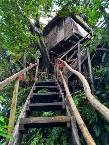 Tanna Island Hotel | Castle Tree House And Bungalow
