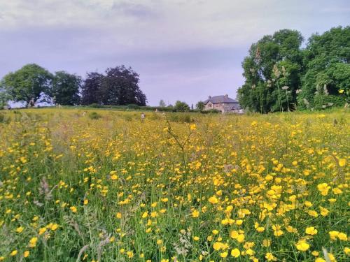 County Meath House | Castletownmoor Clinic & Permaculture Farm