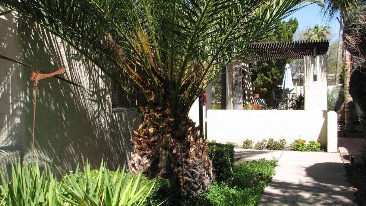 Tucson House | Casual, Elegant Patio Townhouse - Very Special!
