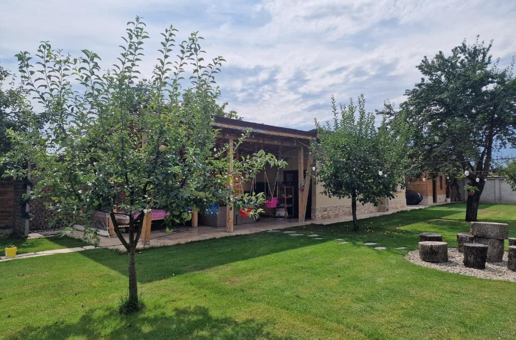 Tirgu Jiu Bed & Breakfast | Casuta de vacanta Danuț&Erin