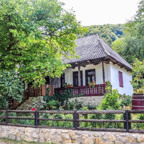 Tirgu Lapus House | Casuta Fermecata, Tara Lapusului