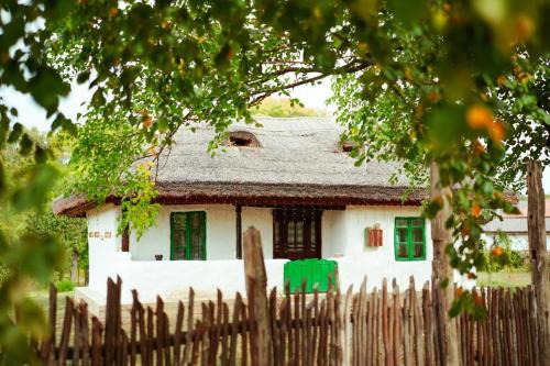 Contesti House | Casuta Muzeu La Artar