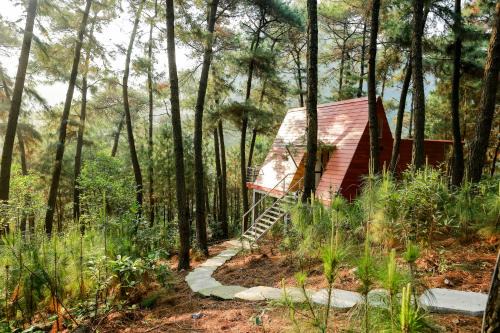 Cat Hai Cabin | Cat Ba Eco Lodge
