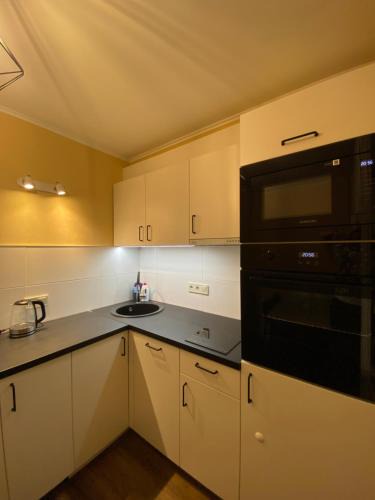 Purvciems Apartment | Cat Garden Business Apartments Riga