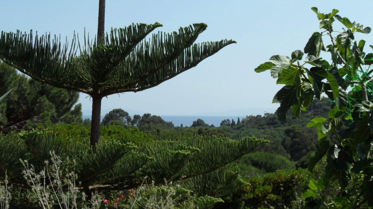 Cavaliere Apartment | Catering *, 68 m2, sea view