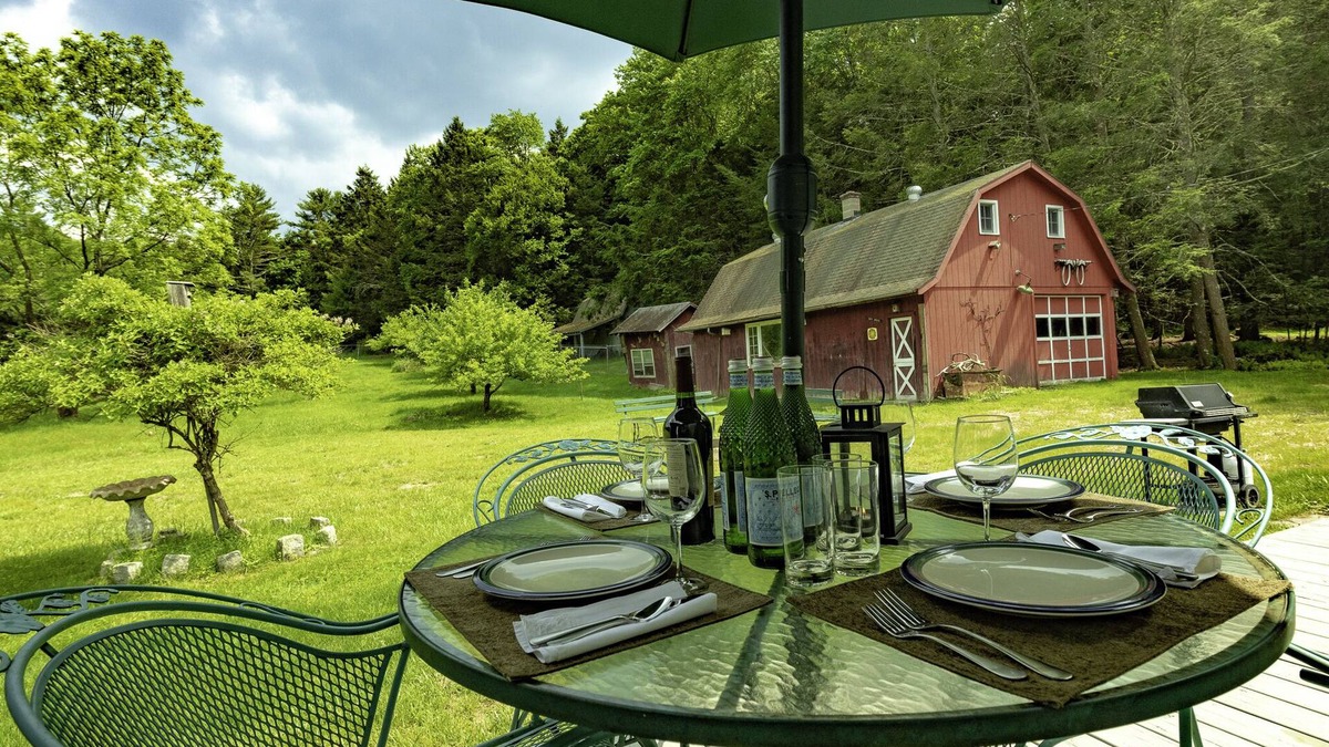 Barryville House | Catskill Gem! Four bedroom on 20 quiet acres