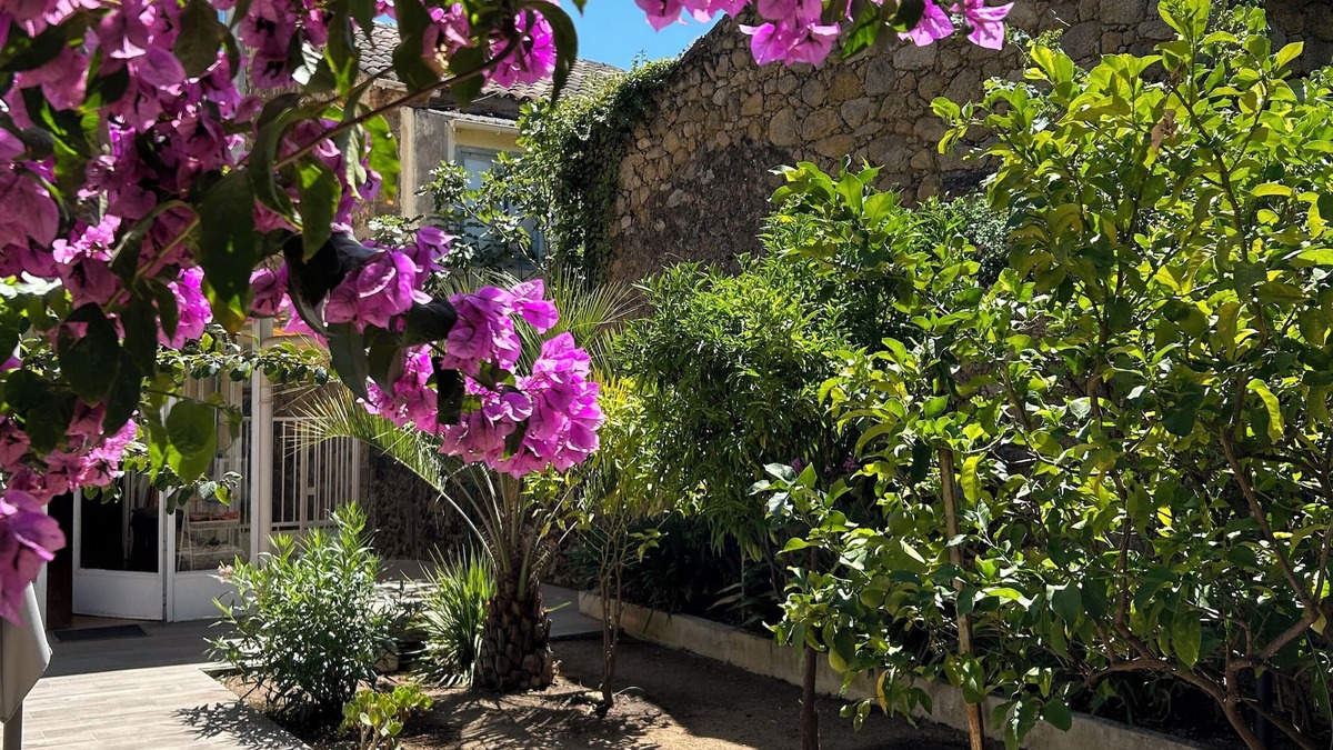 Cauro House | CAURO, pleasant house, 12 minutes from the sea and hiking trails
