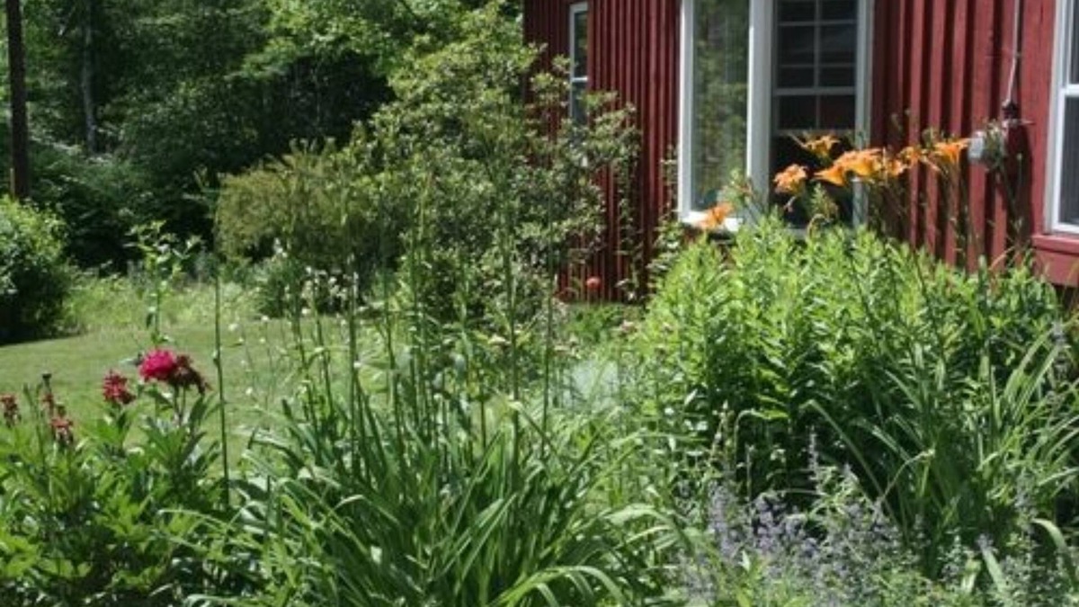 Shelburne Falls Cottage | Cavalier Cottage B&B