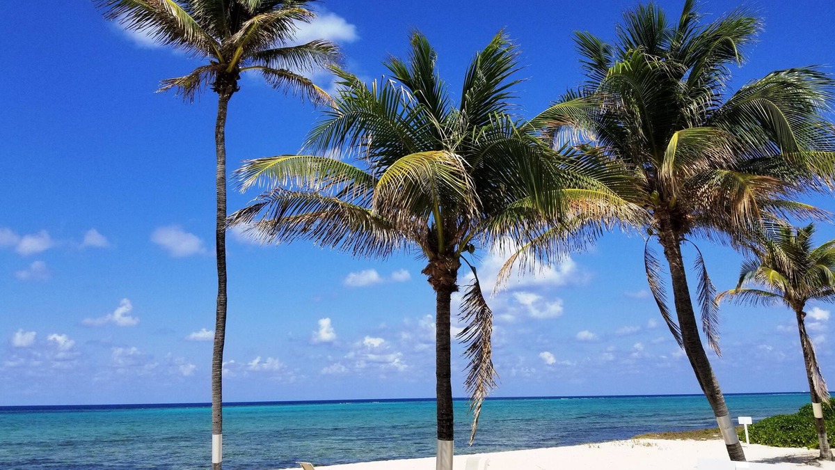 West Bay Condo | Cayman White Sand Beach + Quiet Pool = Relaxation