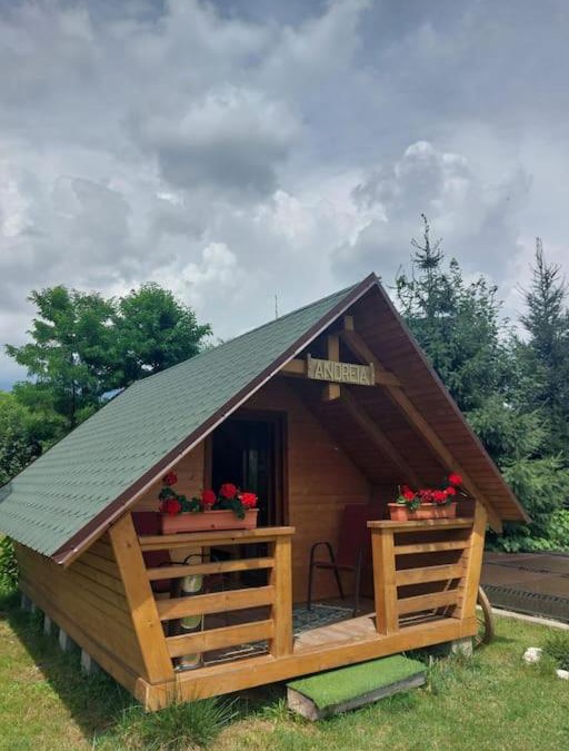Bistra House | Cazare la Munte cu Piscină