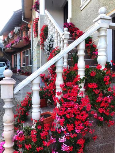 Novaci House | Cazare Nely