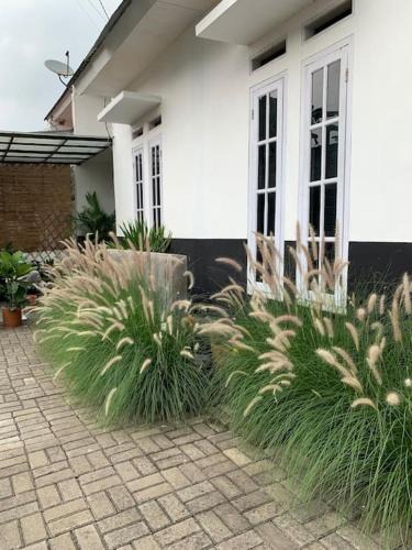 Sukabumi House | Ceana House at Selabintana