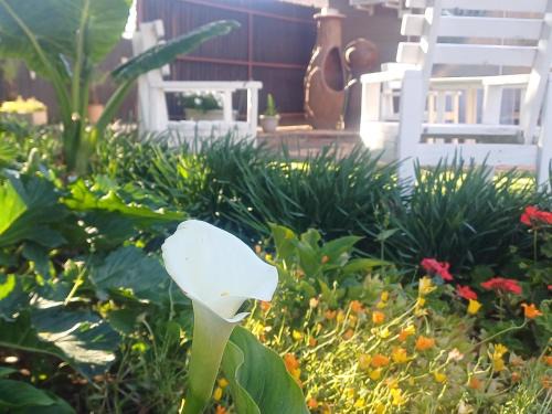 Universitas House | Ceelee's Place