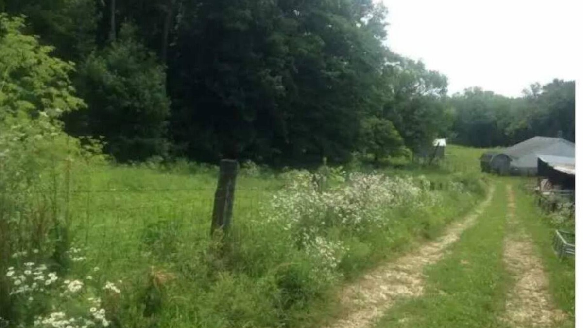 Freedom RV Rental | Celtic Glen Farm Stay - Shady pasture overlookn