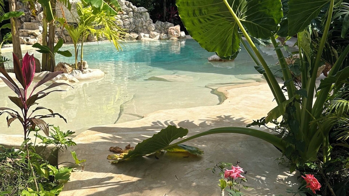 Yucatan Peninsula House | Cenotefront House 30 min from Chichen Casa Yaxunah