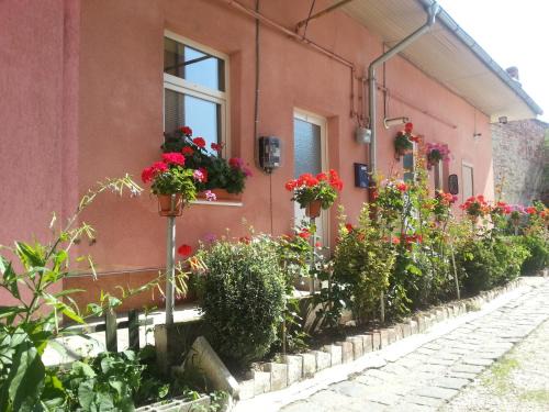 Old Town Apartment | Center Park Apartment