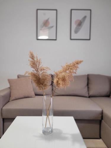 Florina Apartment | Center River Apartment
