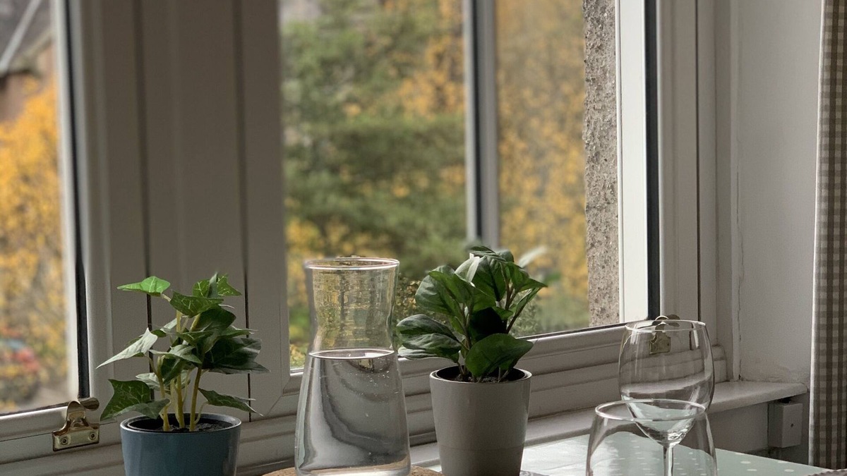Peebles Cottage | Central apartment with river views and secure bike store