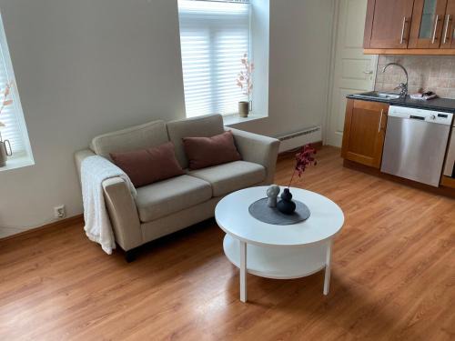 Narvik Apartment | Central bus station apartment, wifi, tv