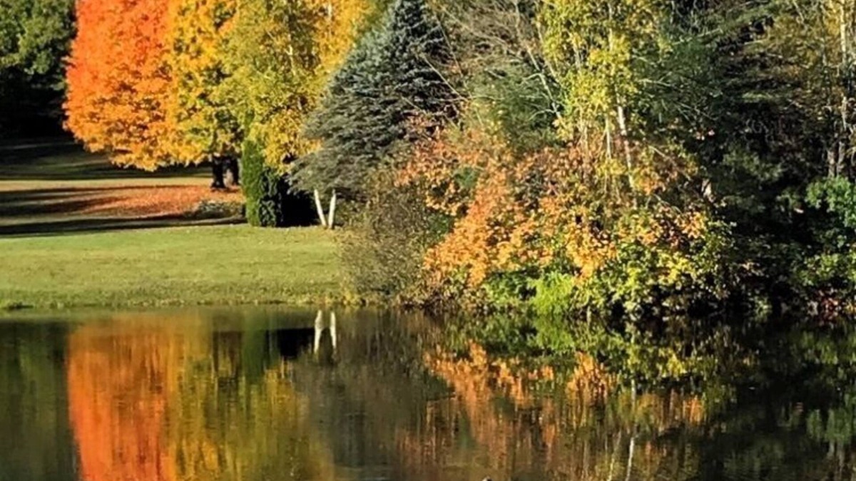 Oakland Apartment | Central Maine Apartment offering 4 Seasons of Fun.