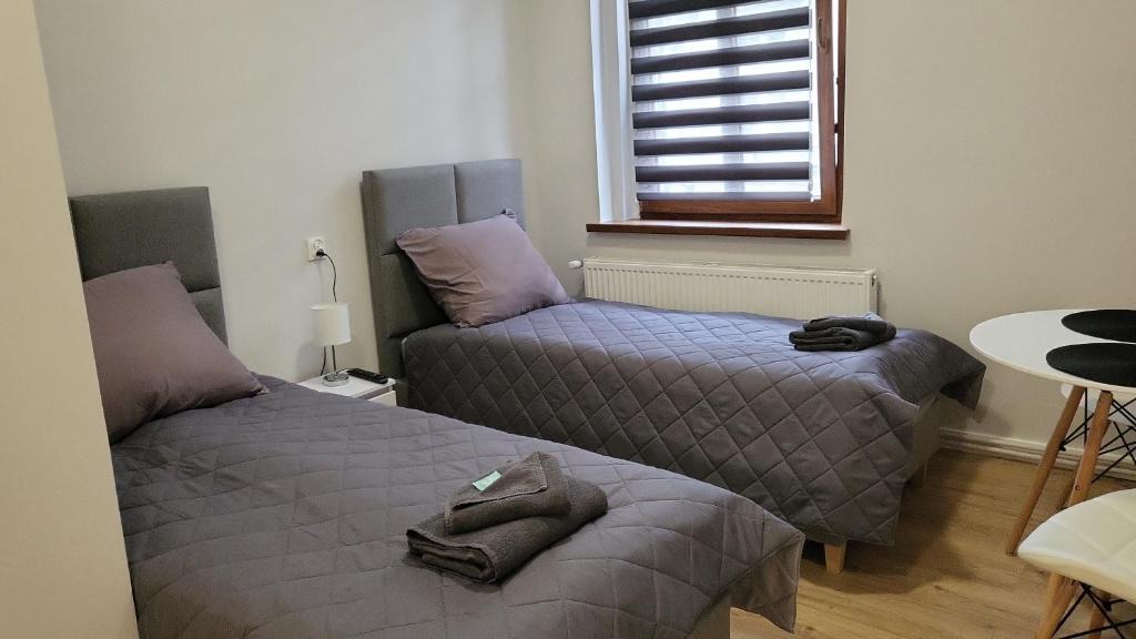 Rybnik Apartment | Central Platinum Apartments