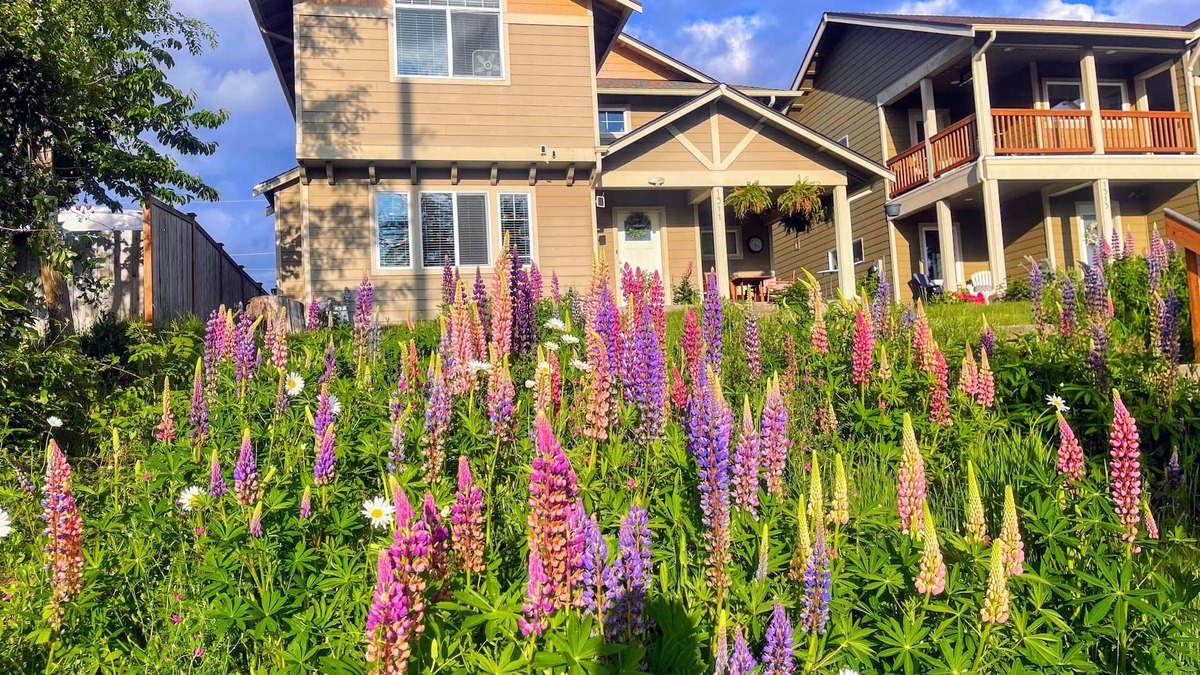 Central Tacoma Bed & Breakfast | Central Tacoma Homestay -private room-