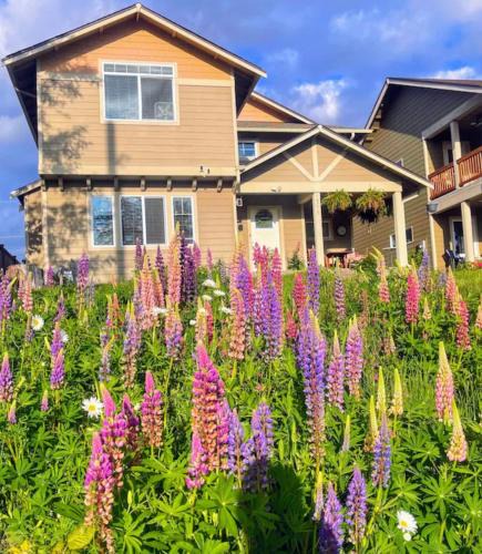 Central Tacoma House | Central Tacoma Homestay with breakfast included -private room-