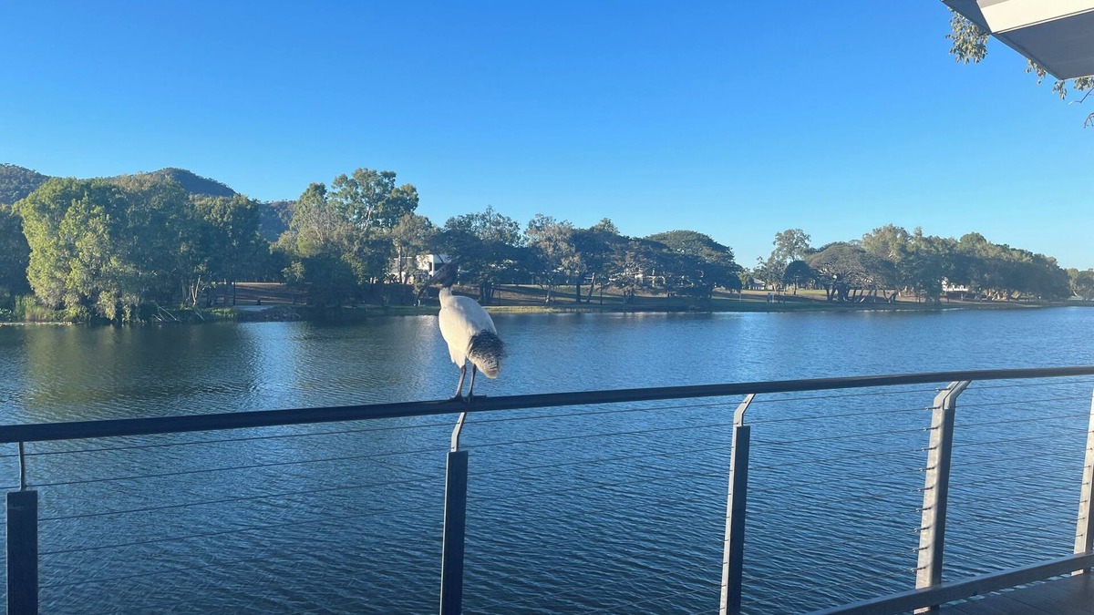 Condon Bed & Breakfast | Central Thuringowa willows Riverway & ross river naturist CO retreat