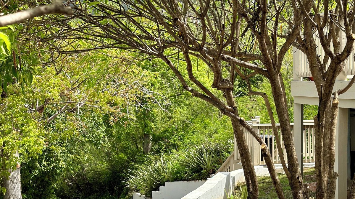 Green Cay Plantation Cottage | Centrally located to everything!