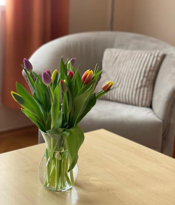 Nagykanizsa Apartment | CentROOM Nagykanizsa