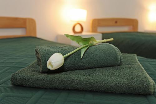 Myczkow Resort | Centrum Edukacji Ekologiczno-Turystycznej