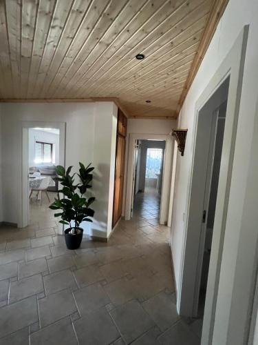 Cerva Apartment | Cerva Village Apartment