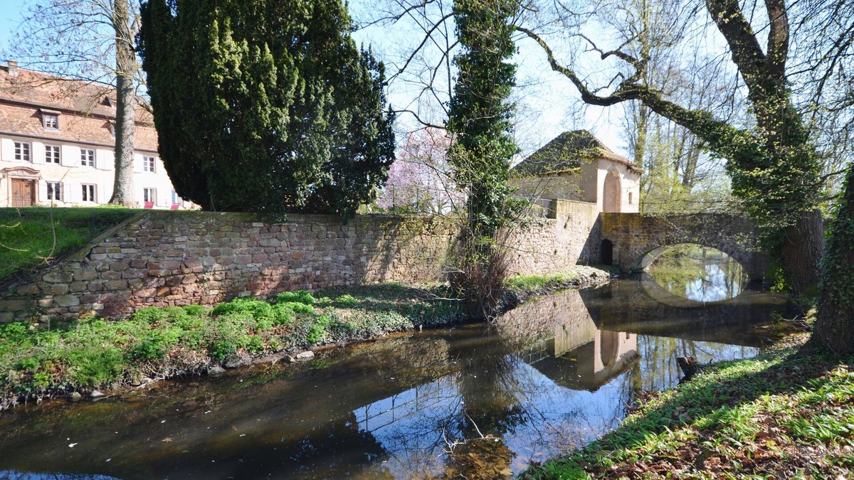 Stotzheim Bed & Breakfast | Château de Grunstein